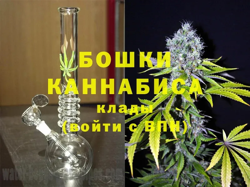 Каннабис индика  Сосновка 